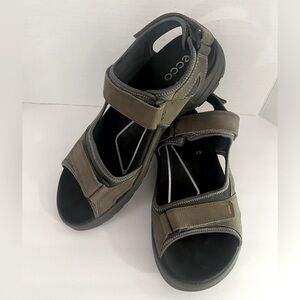 Mens Ecco sandals